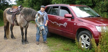 Highland Pony and Horse Spring Stripe